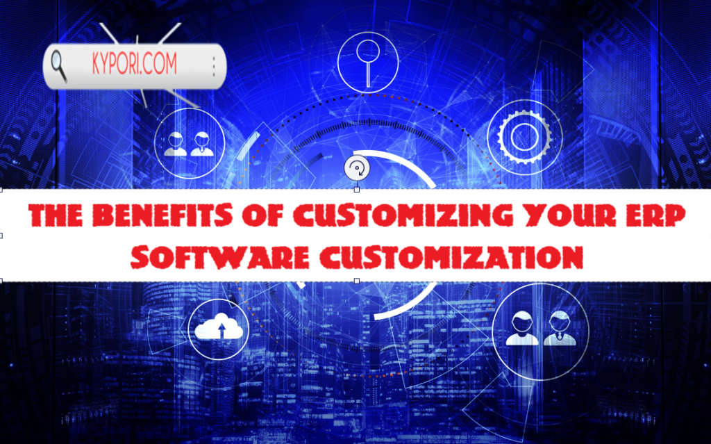 ERP software customization