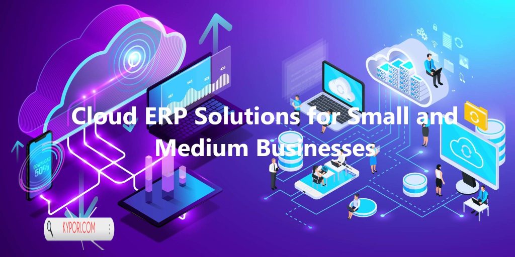 Cloud ERP Solutions for Small and Medium Businesses