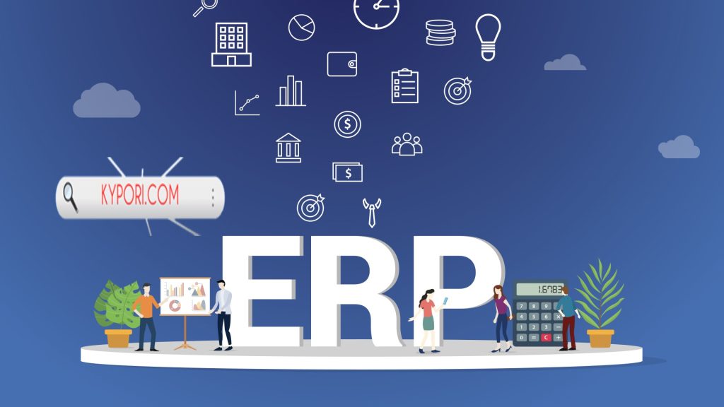 ERP software customization 