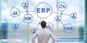 5 Essential Customizable ERP Systems for Enterprises Efficiency