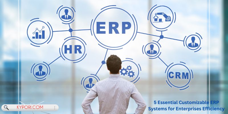 5 Essential Customizable ERP Systems for Enterprises Efficiency