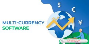 Multi-Currency ERP Software For Global Businesses
