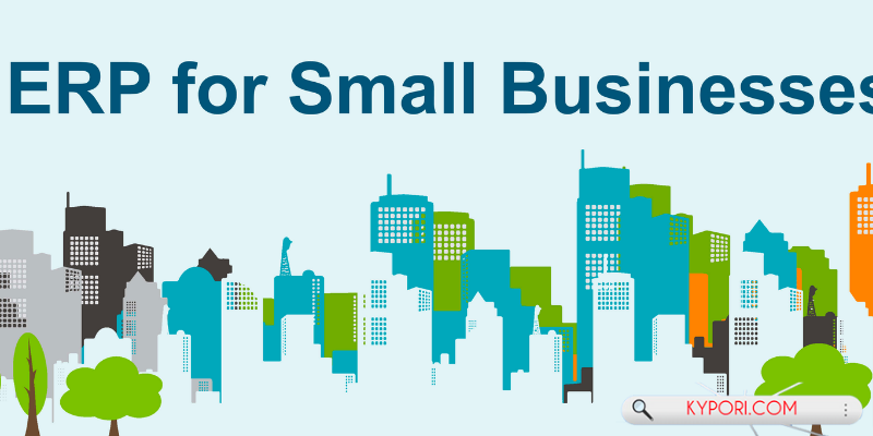 Streamlining Operations and Boosting Efficiency: ERP Software for Small Businesses
