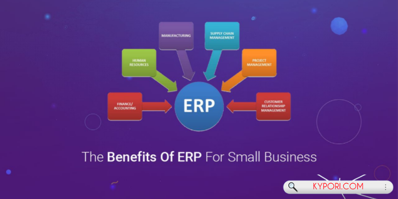 Benefits of ERP Software for Small Businesses