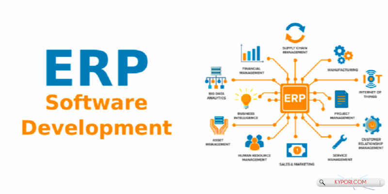 Unlocking Business Efficiency: ERP Software Development Services
